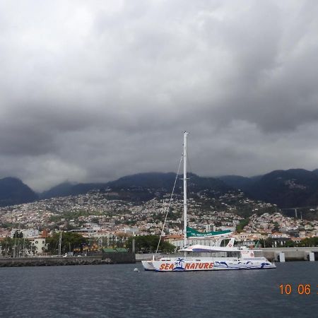 Stay In Madeira 丰沙尔 外观 照片