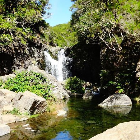 Stay In Madeira 丰沙尔 客房 照片