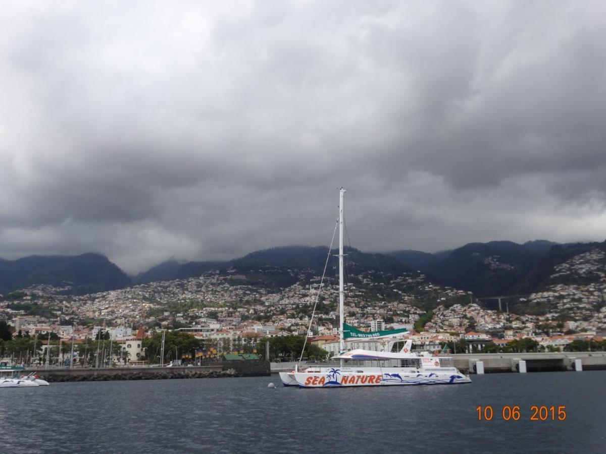 Stay In Madeira 丰沙尔 外观 照片