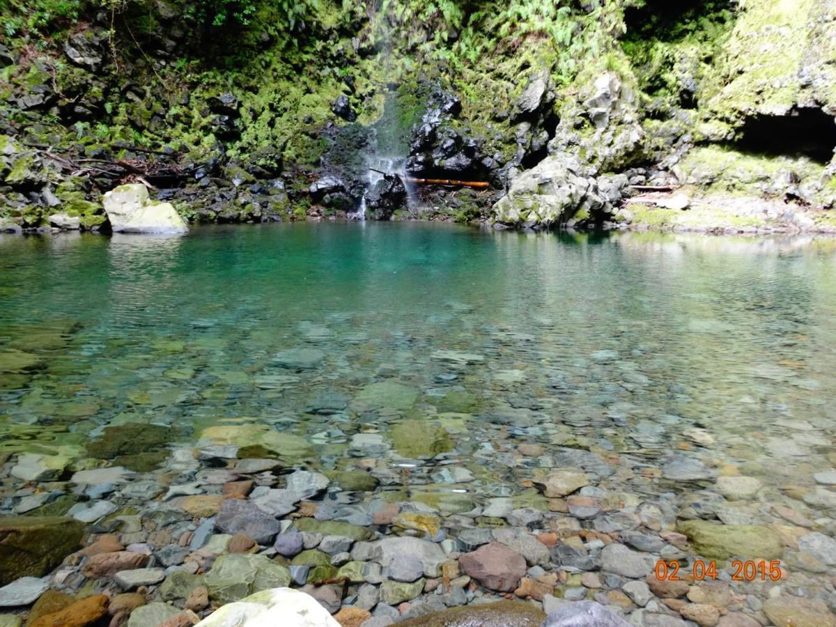 Stay In Madeira 丰沙尔 外观 照片