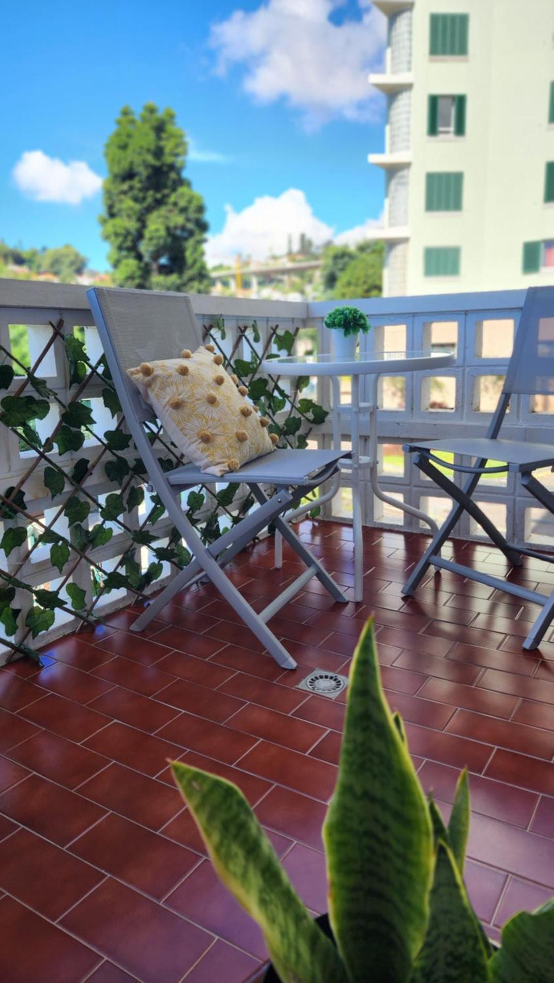 Stay In Madeira 丰沙尔 外观 照片