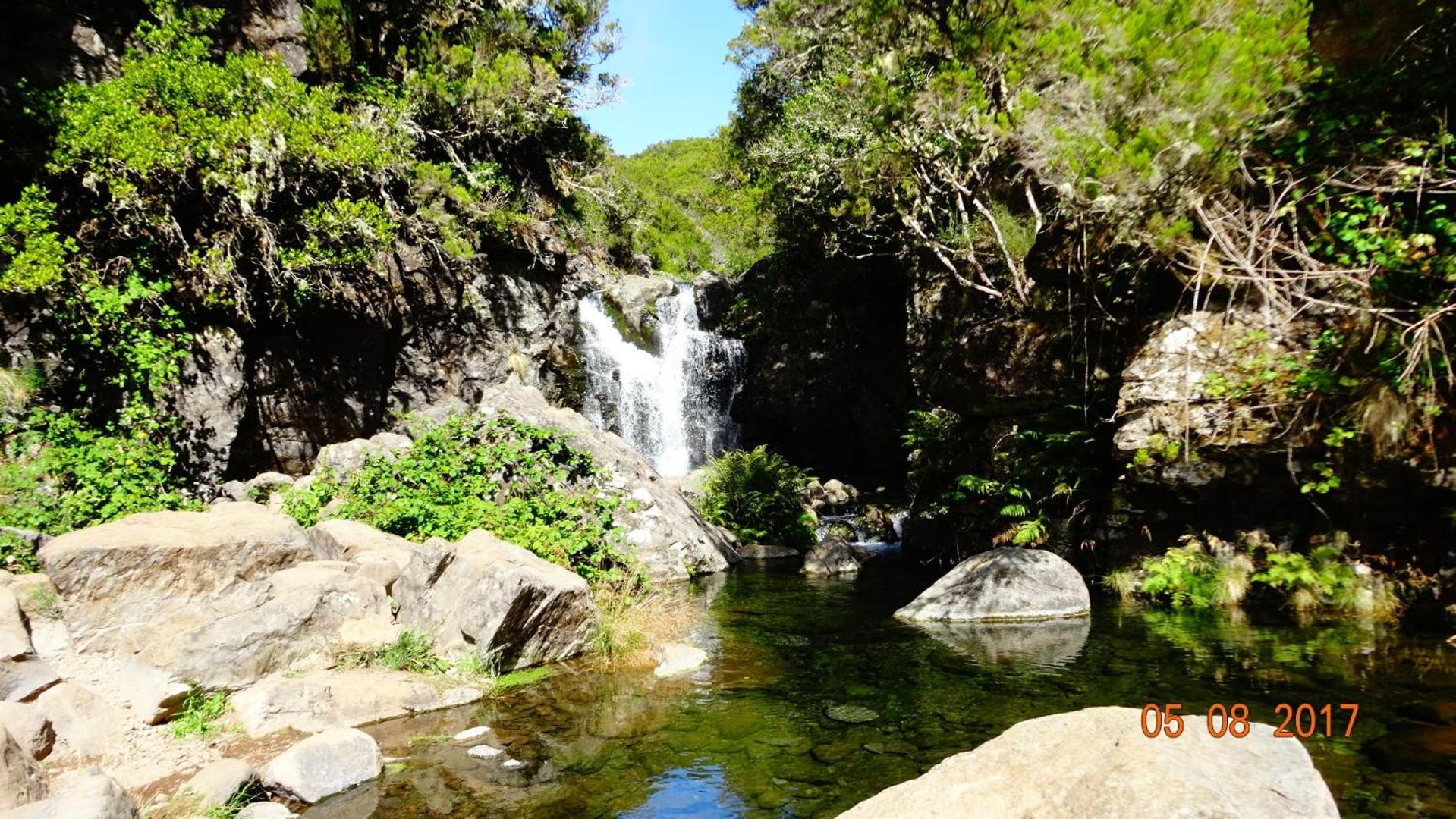 Stay In Madeira 丰沙尔 客房 照片